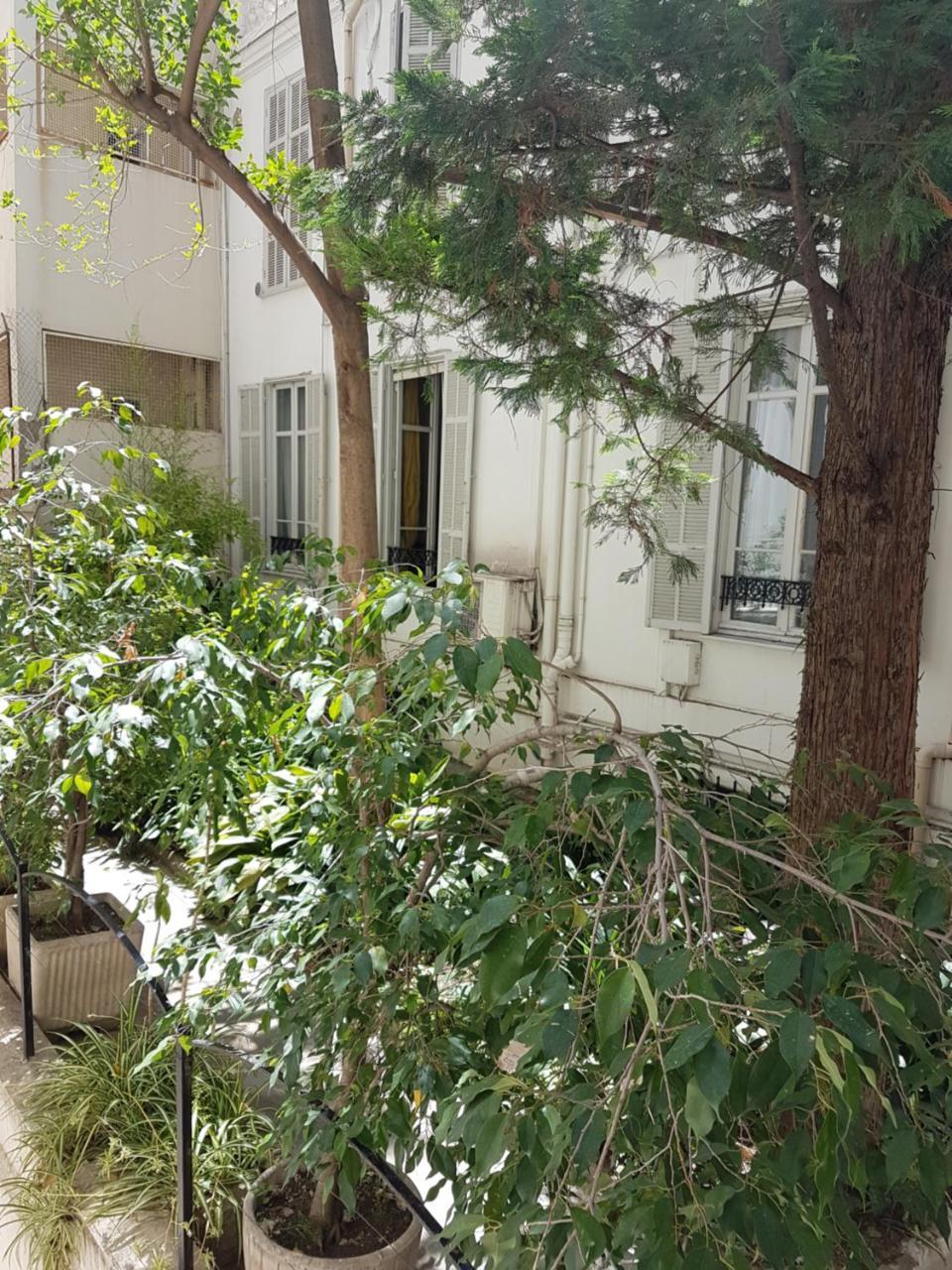 ניס Hotel Cronstadt מראה חיצוני תמונה